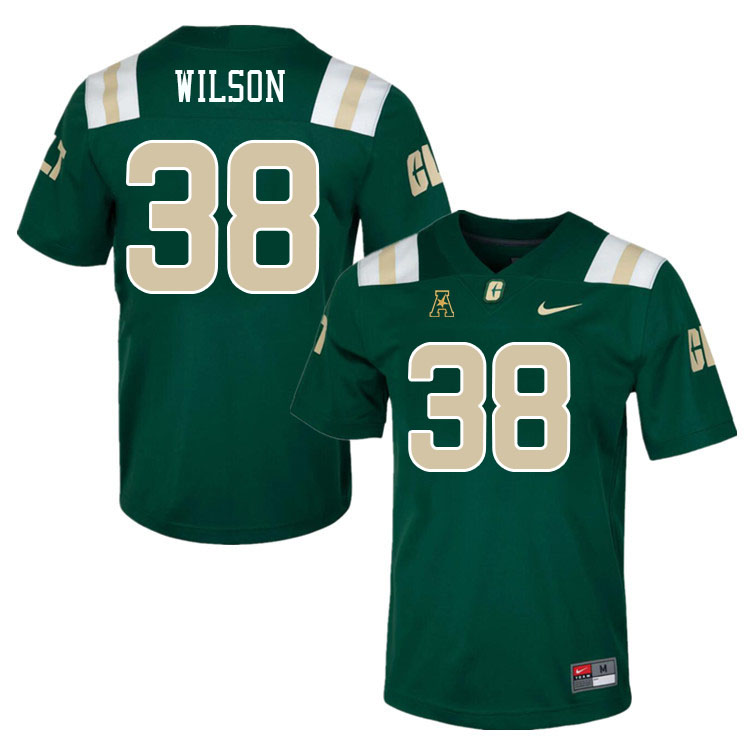 Charlotte 49ers #38 Hahsaun Wilson College Football Jerseys Stitched Sale-Green